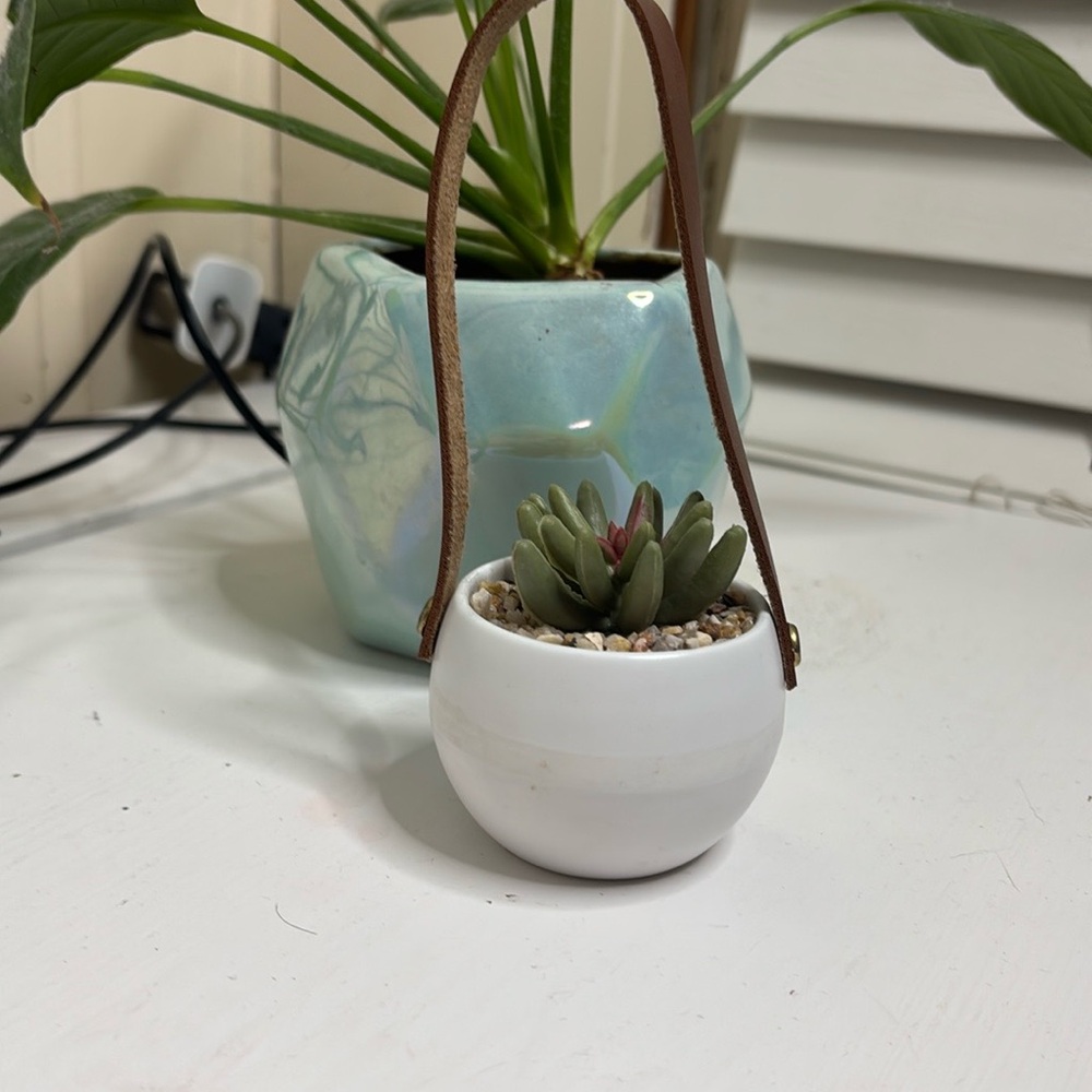 White Hanging Planter with Succulent